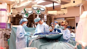 Health insurance for freelancers in Germany